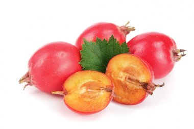 Hawthorn berry izole beyaz arka plan yakın çekim yaprak ile