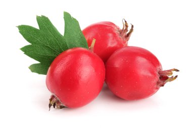 Hawthorn berry izole beyaz arka plan yakın çekim yaprak ile