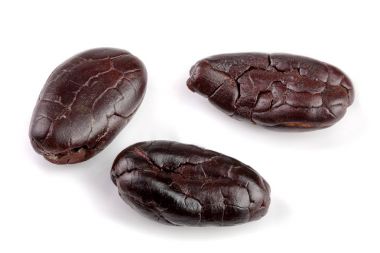 kakao çekirdeği üzerinde beyaz arka plan makro izole