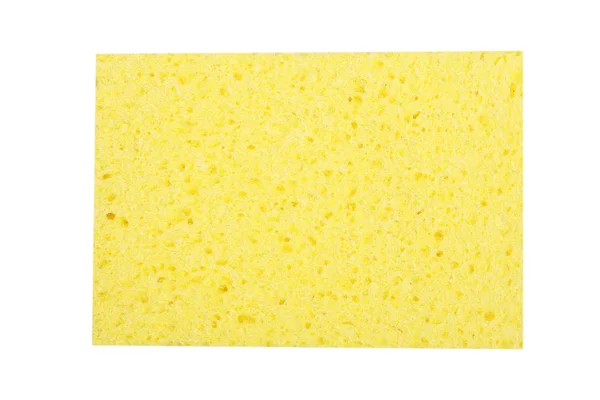 Cleaning sponge for washing isolated on white background — Stock Photo, Image