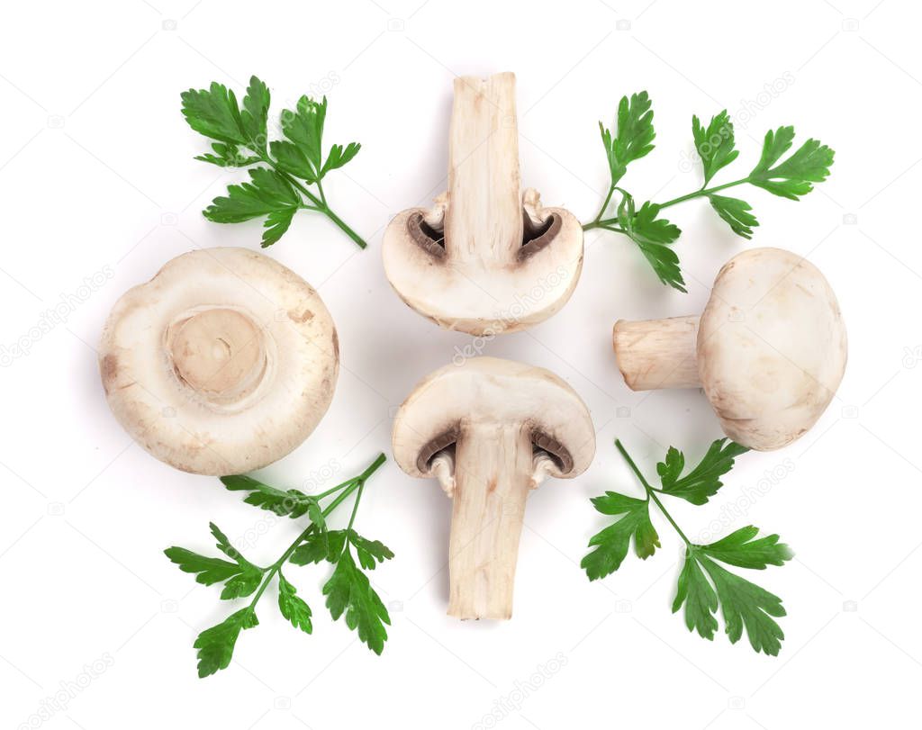 mushrooms with parsley leaf isolated on white background. top view