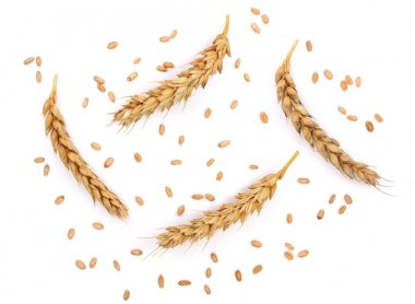 tahıl ve beyaz arka plan üzerinde izole buğday kulaklar. Üstten Görünüm