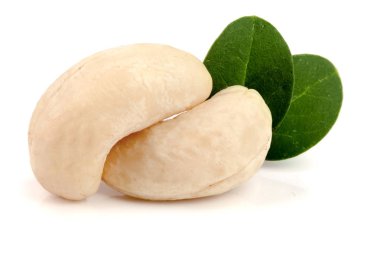 Beyaz arka plan üzerinde izole yaprak ile kaşu fındık. Makro