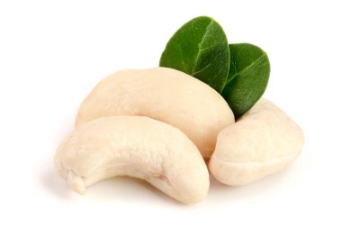 Beyaz arka plan üzerinde izole yaprak ile kaşu fındık. Makro