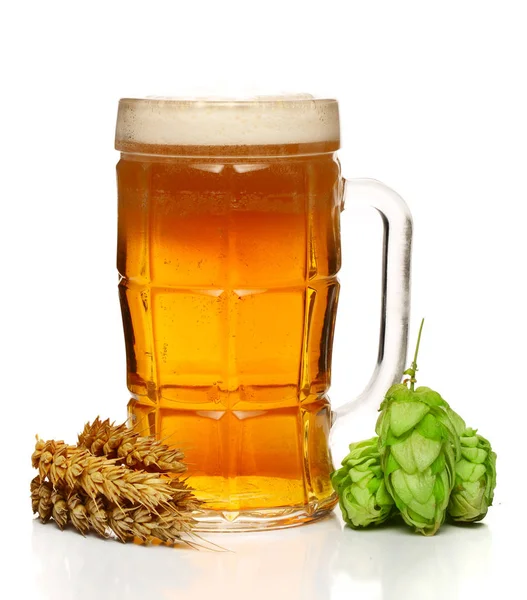 Glas schäumendes Bier mit Hopfenzapfen und Weizen isoliert auf weißem Hintergrund — Stockfoto