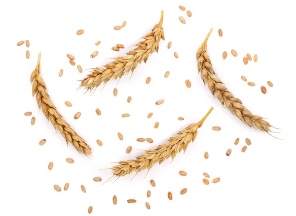 Grain and ears of wheat isolated on white background. Top view — Stock Photo, Image