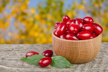 Kızılcık berry yaprak kase bulanık bir bahçe arka plan ile ahşap tablo