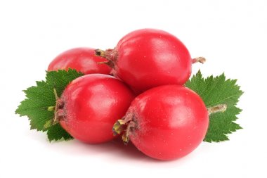 Hawthorn berry izole beyaz arka plan yakın çekim yaprak ile