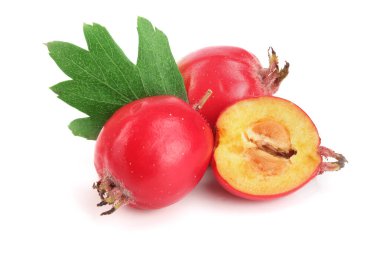 Hawthorn berry izole beyaz arka plan yakın çekim yaprak ile