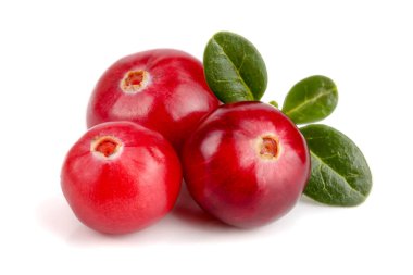 Beyaz arka plan closeup makro'izole yaprak ile kızılcık