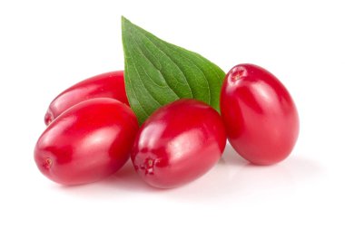 Beyaz arka plan üzerinde izole yaprak ile kızılcık berry