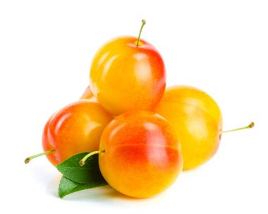 Yaprak Beyaz arka plan üzerinde izole sarı Erik