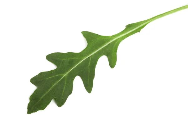 Rúcula fresca verde ou folha de arugula isolada sobre fundo branco. Vista superior — Fotografia de Stock