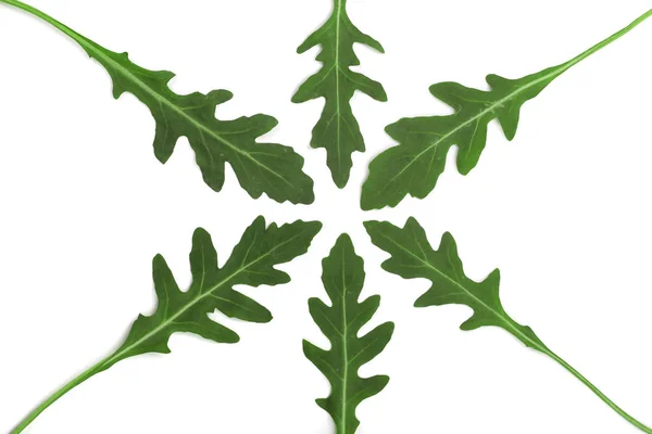 Rúcula verde fresca o hoja de rúcula aislada sobre fondo blanco. Vista superior. Patrón de colocación plana —  Fotos de Stock