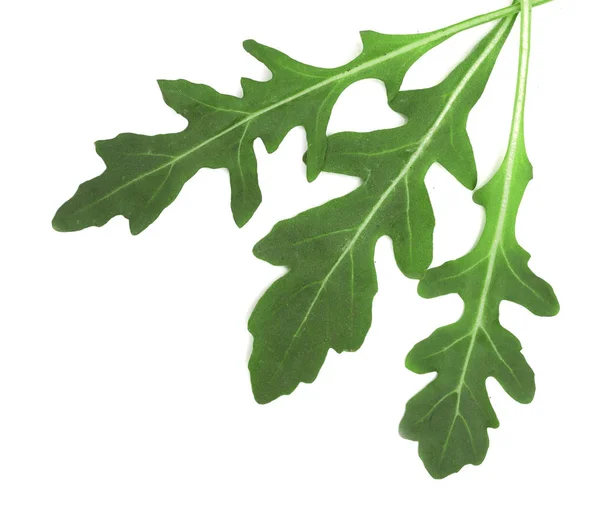Zöld friss rucola, vagy a sült saláta kitûnõ levél elszigetelt fehér background. Szemközti nézet — Stock Fotó