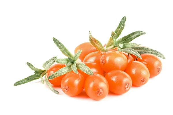 Sea buckthorn. Fresh ripe berry with leaves isolated on white background macro — Stock Photo, Image