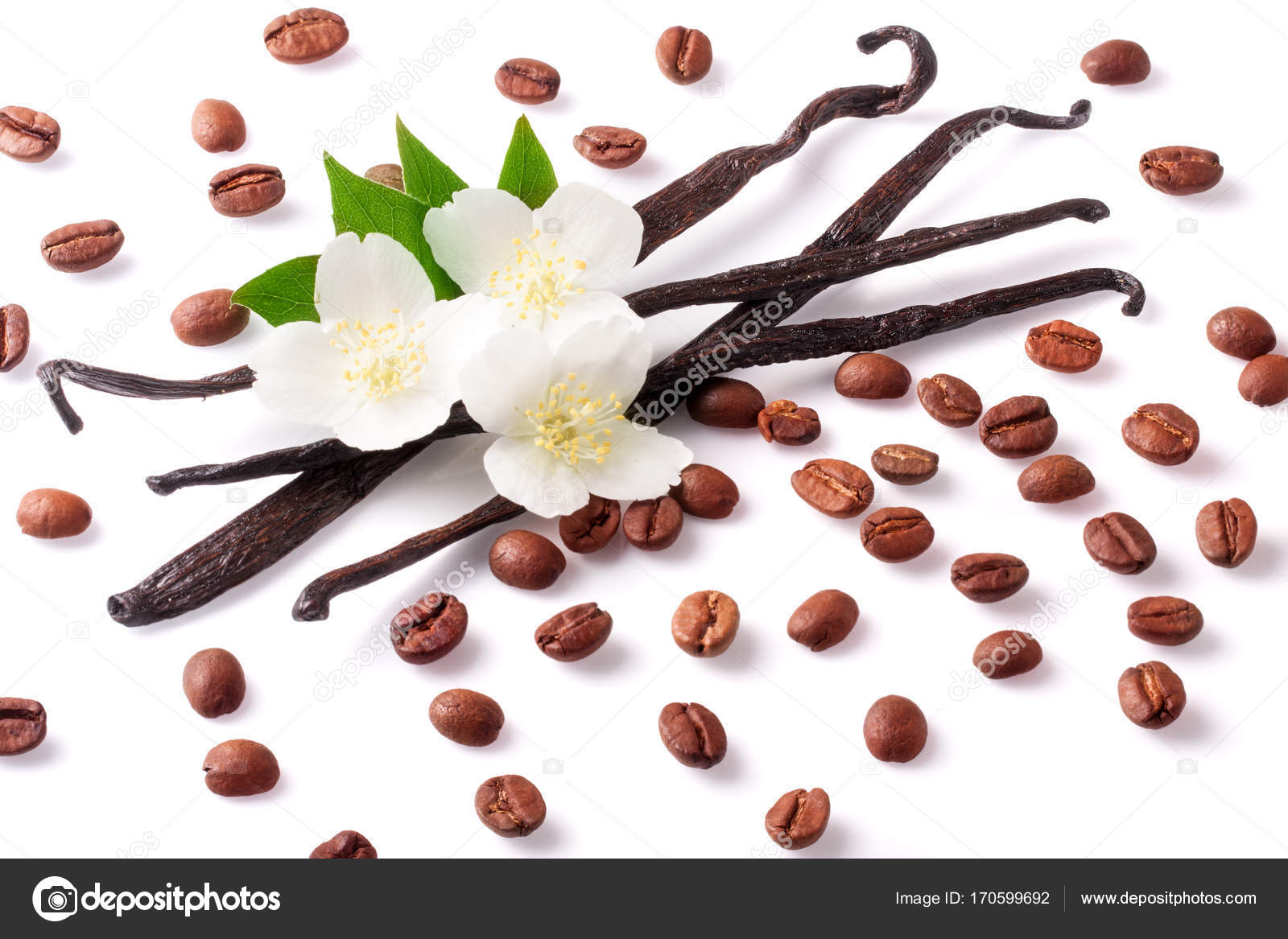 Vanilla Beans Coffee