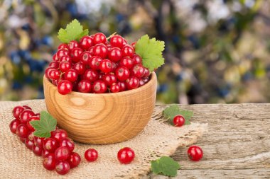 Frenk üzümü çilek bulanık Bahçe arka plan ile ahşap masa üzerinde ahşap kase