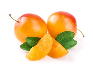 Beyaz arkaplanda yaprakları olan sarı erik