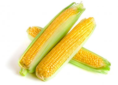 Beyaz bir arka plan üzerinde izole Mısır kulak