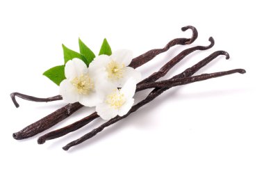 Çiçek ve yaprak beyaz arka plan üzerinde izole ile vanilya çubukları