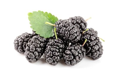 Beyaz arka planda yaprak izole edilmiş dut üzümü