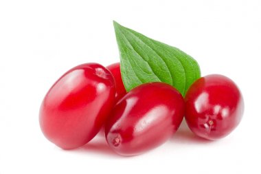 Beyaz arka plan üzerinde izole yaprak ile kızılcık berry