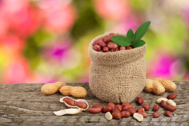 Fıstık çanta üzerinde eski bir bulanık Bahçe arka plan ile ahşap masa üzerinde yaprak ile