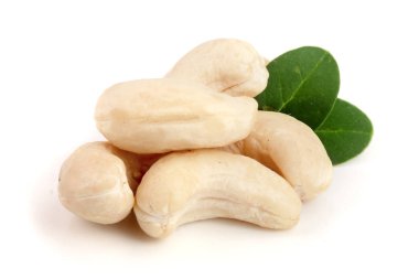 Beyaz arka plan üzerinde izole yaprak ile kaşu fındık. Makro