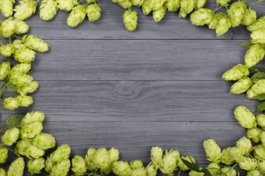 Hop koniler siyah ahşap zemin üzerine çerçeve. Bira üretimi için madde. Metniniz için kopya alanı ile Üstten Görünüm