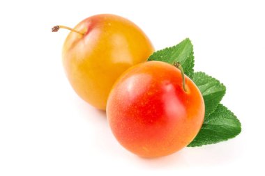 Beyaz arka plan üzerinde izole yaprakları ile sarı Erik