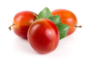 Beyaz arka plan üzerinde izole yaprakları ile kırmızı Erik