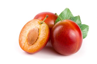 Kırmızı Erik yarısı beyaz arka plan üzerinde izole yaprakları ile sona