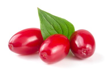 Beyaz arka plan üzerinde izole yaprak ile kızılcık berry