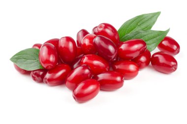 Beyaz arka plan üzerinde izole yaprak ile kızılcık berry