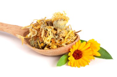 Beyaz arka plan üzerinde izole bir tahta kaşık taze ve kuru calendula çiçeklenir. Kadife çiçeği