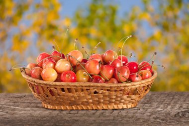 Bulanık bir bahçe arka plan ile ahşap bir masa üzerinde bir hasır sepet içinde sarı kiraz