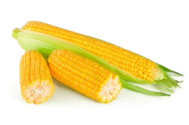 Beyaz bir arka plan üzerinde izole Mısır kulak