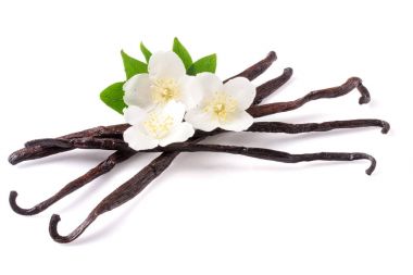 Çiçek ve yaprak beyaz arka plan üzerinde izole ile vanilya çubukları