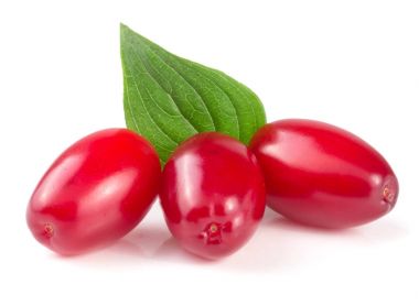 Beyaz arka plan üzerinde izole yaprak ile kızılcık berry