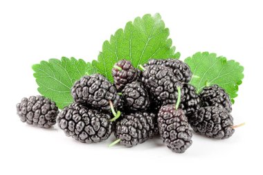 Beyaz arka planda yaprak izole edilmiş dut üzümü