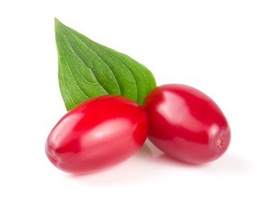 Beyaz arka plan üzerinde izole yaprak ile kızılcık berry