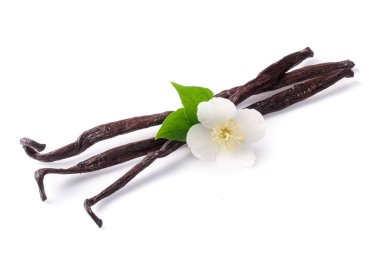 Çiçek ve yaprak beyaz arka plan üzerinde izole ile vanilya çubukları