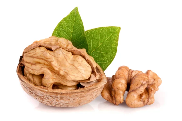 Walnut with leaf isolated on white background — Stock Photo, Image