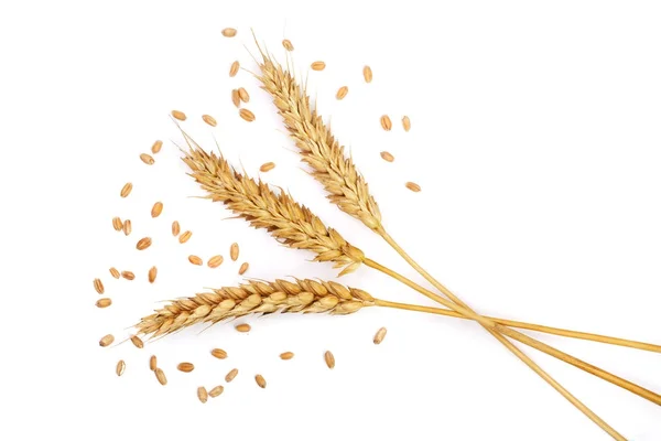 Obilí a uši pšenice izolovaných na bílém pozadí. Pohled shora — Stock fotografie