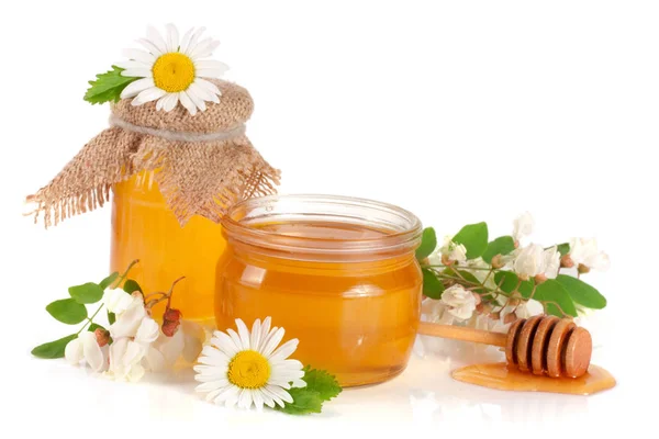 Csupor mézet a virágok az akác és a Kamilla elszigetelt fehér background — Stock Fotó