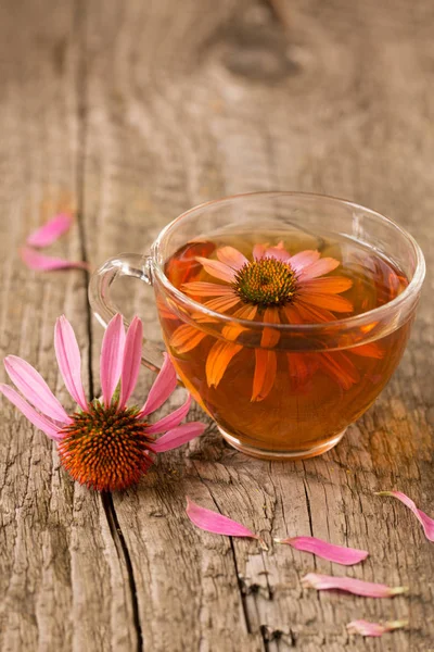 Echinacea teát régi fából készült asztal — Stock Fotó