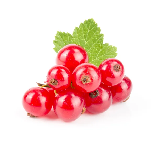 Merah currant berry dengan daun terisolasi pada latar belakang putih — Stok Foto