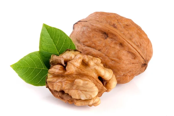 Walnuts with leaf isolated on white background — Stock Photo, Image