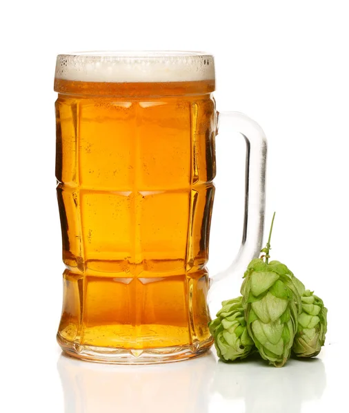 Склянка пива з шишками хопу ізольовані на білому фоні — стокове фото